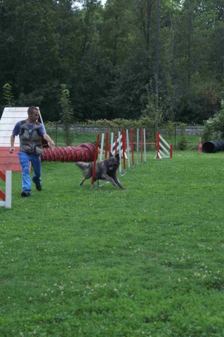 agility 2011-09